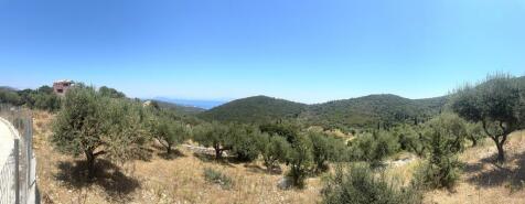 Panoramic view