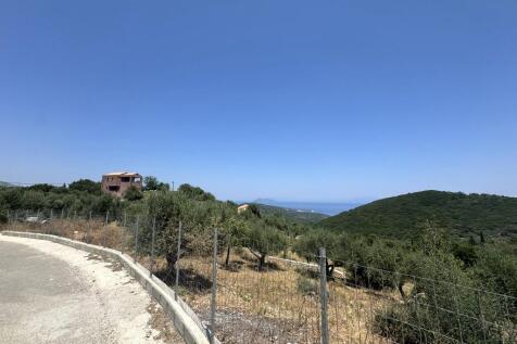 Road view