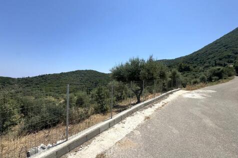 Road view