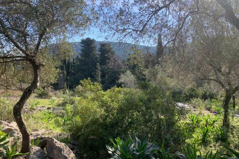 Terrain &amp;landscape