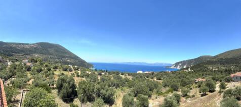 Panoramic