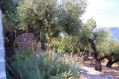 Garden area