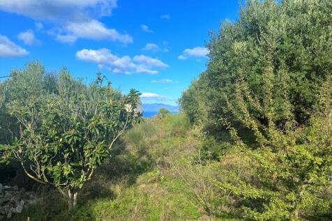 Garden views