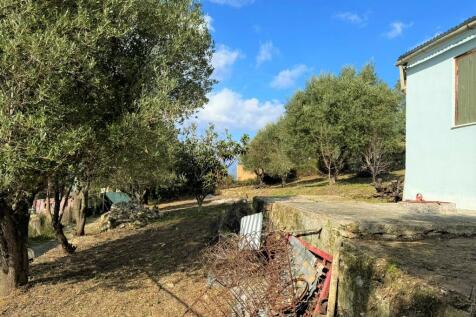 Garden views