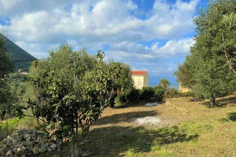 Garden views