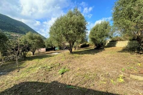 Garden views