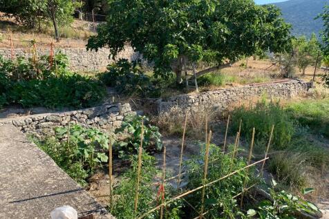 Veg &amp; flower garden