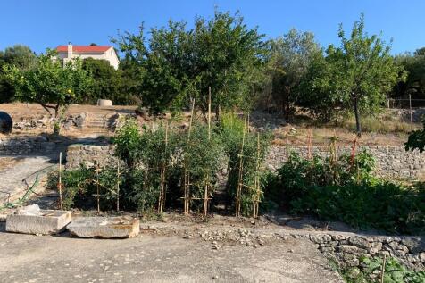 Veg &amp; flower garden