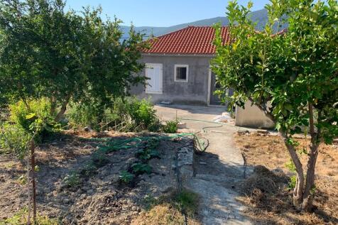 Back garden