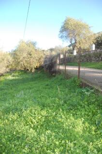 Land borders road