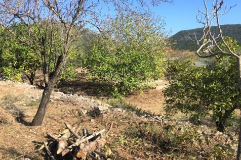 Terrain &amp; landscape