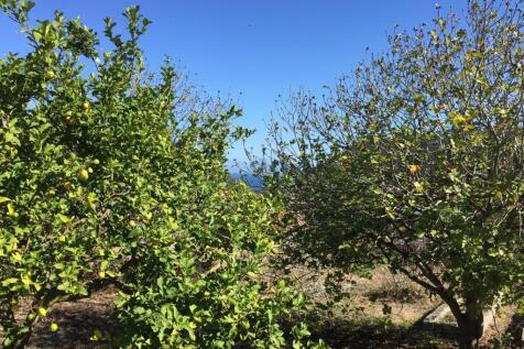 Terrain &amp; landscape