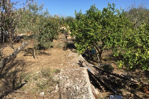 Terrain &amp; landscape