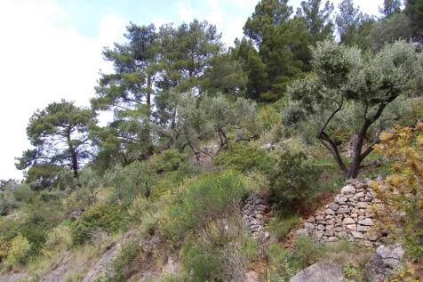 Terrain &amp; landscape