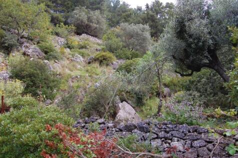 Terrain &amp; landscape