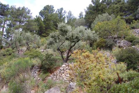Terrain &amp; landscape