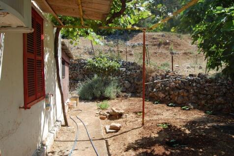 Side house garden