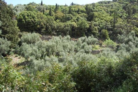 Terrain of property