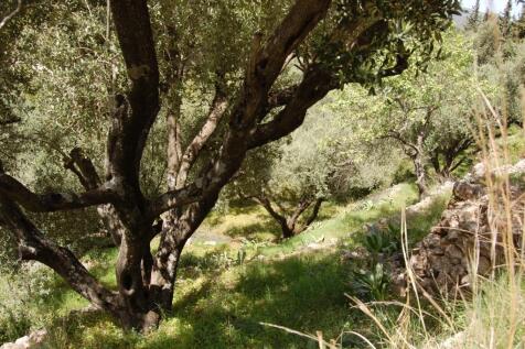 Terrain &amp; landscape