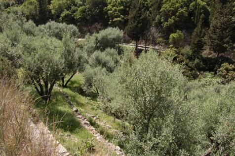 Terrain &amp; landscape