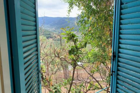 Window view