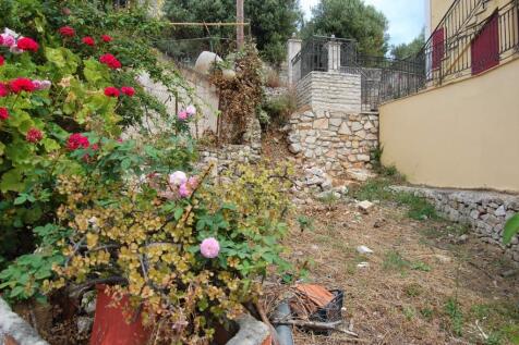Back garden