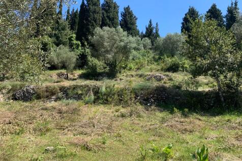 Landscape &amp; terrain