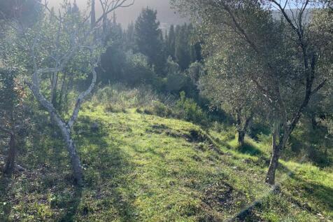 Landscape &amp; terrain