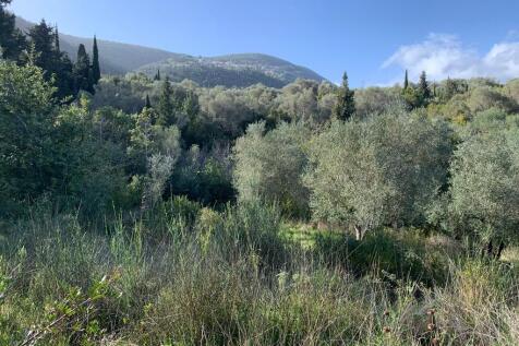 Mountain views