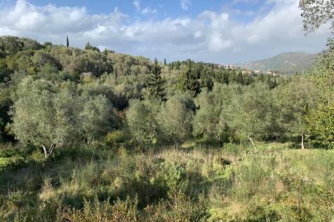 Village views