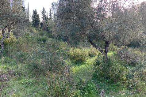 Landscape &amp; terrain