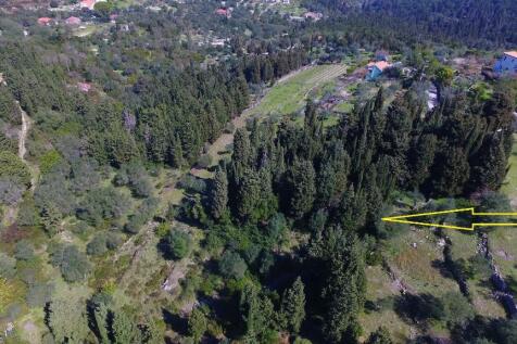 Aerial property view