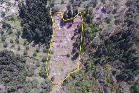 Aerial property view