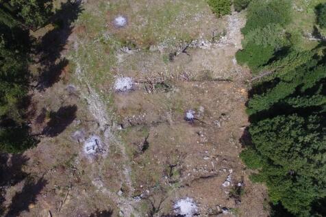 Aerial property view