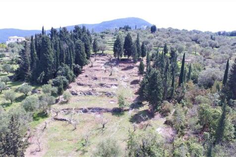 Aerial property view