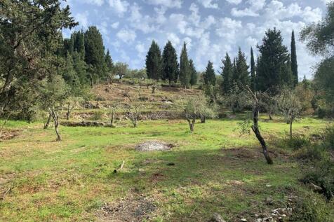 Landscape &amp; terrain