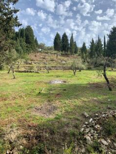 Landscape &amp; terrain
