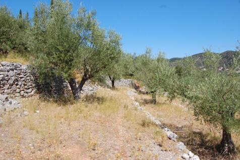 Terraced landscape