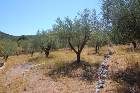 Terraced landscape