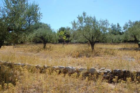 Terraced landscape