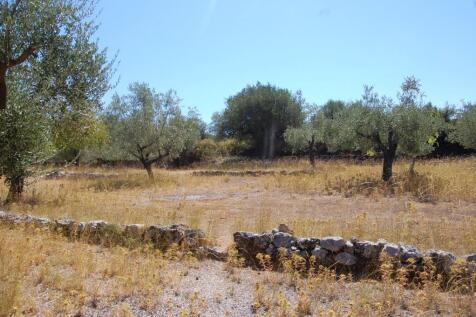 Terraced landscape