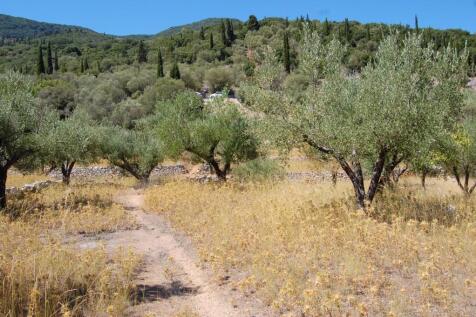 Terraced landscape