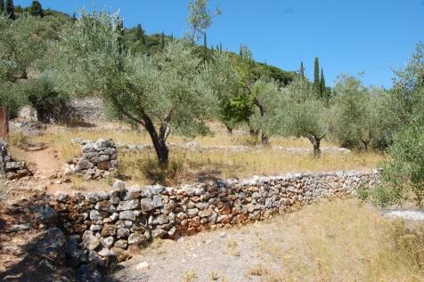 Terraced landscape