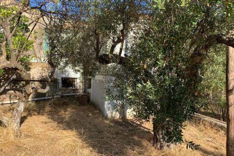 Back garden