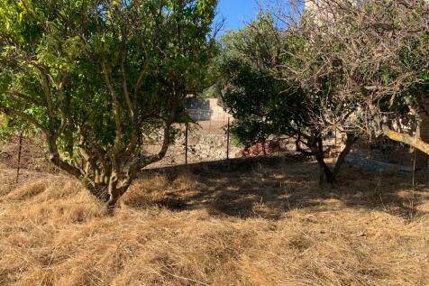 Back garden