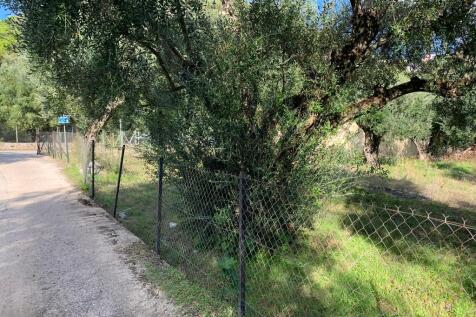 Access road