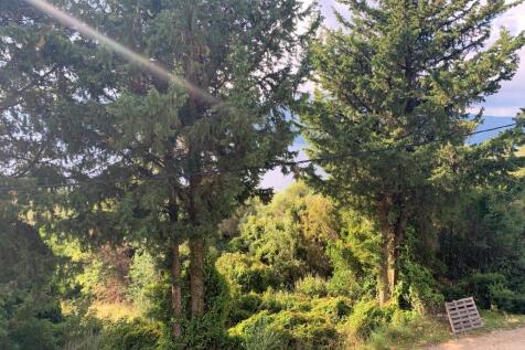 Outdoor scenery