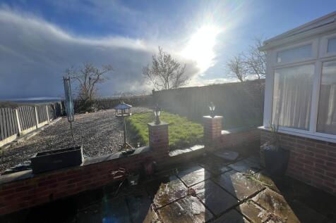 IMG 4910 T202503201321.jpg