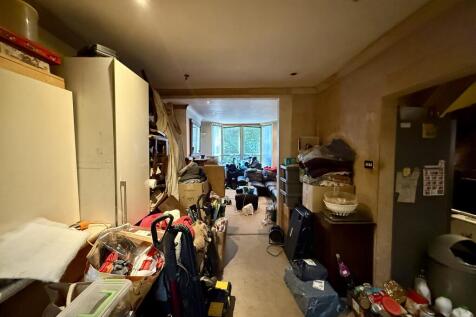 IMG 5102 T202505091714.jpg