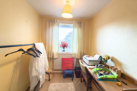 IMG 3696 T202509010846.jpg